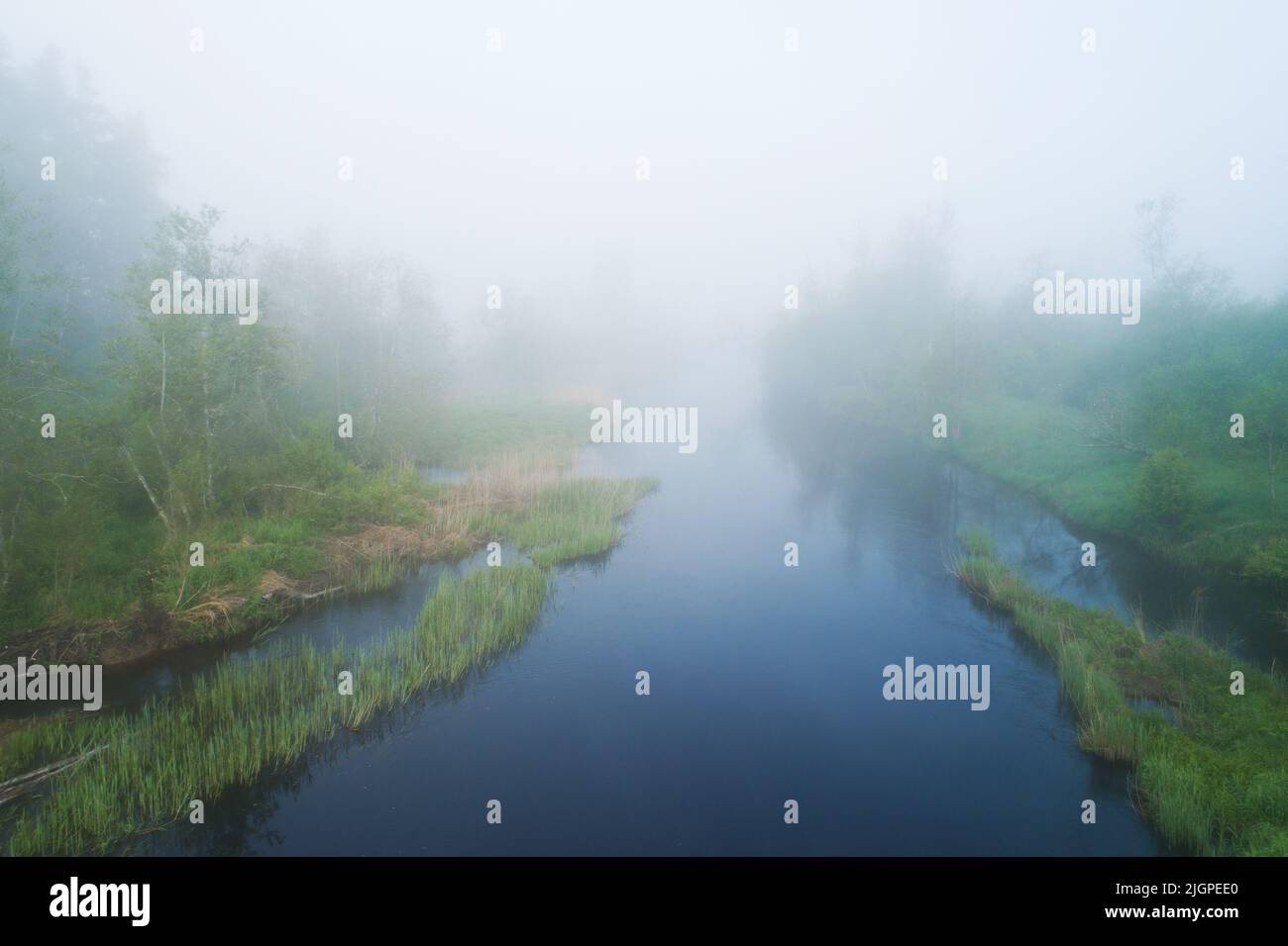 Vue panoramique sur un paysage de rivière brumeux, à la fin d'une matinée de printemps en Estonie, en Europe du Nord Banque D'Images