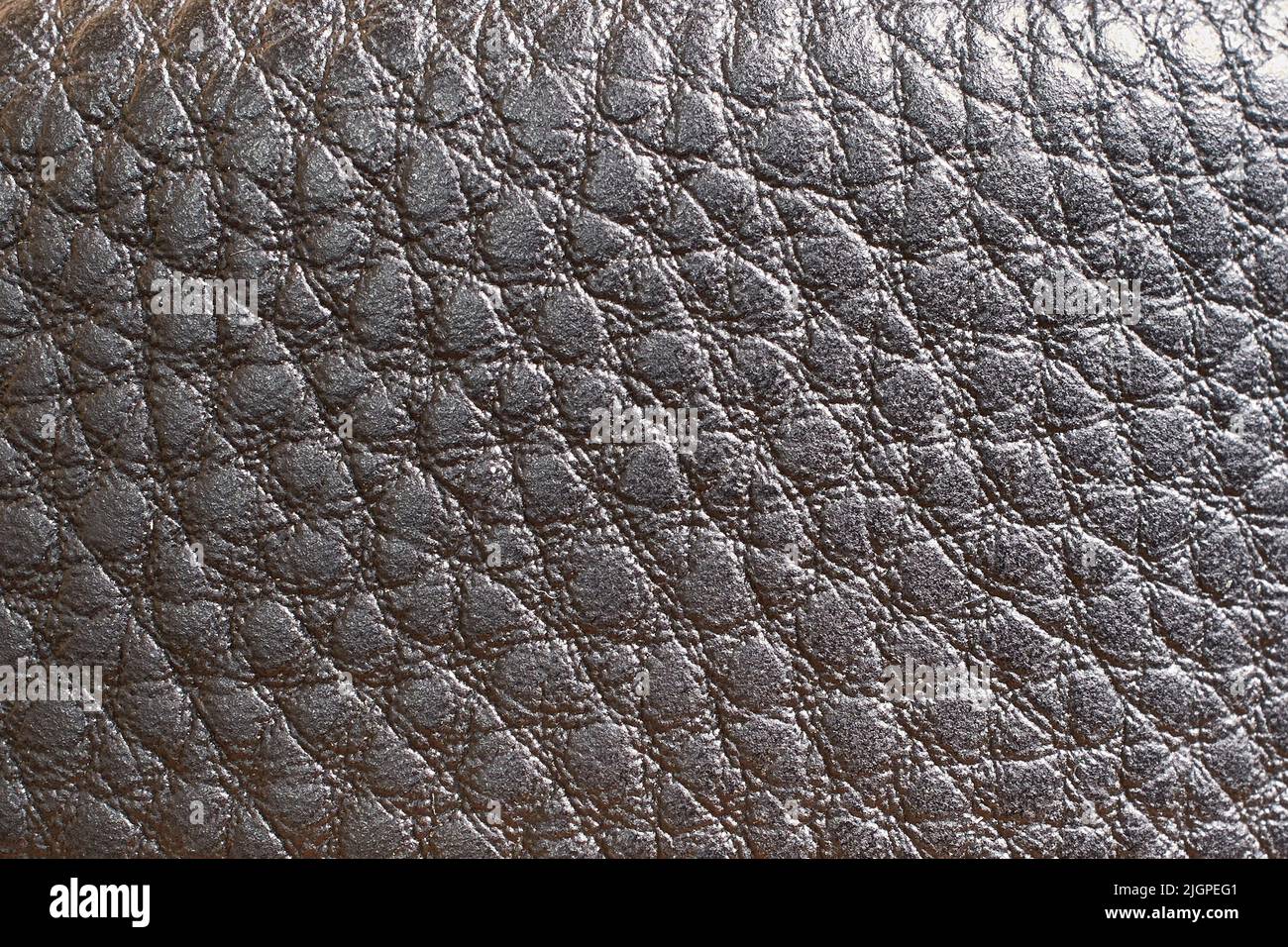 La texture du cuir véritable. Gros plan, format horizontal Banque D'Images