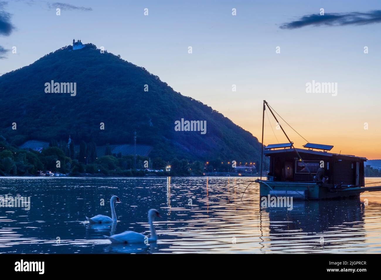 Wien, Vienne: Coucher de soleil sur le Donau (Danube), vue sur la montagne Leopoldsberg (avec église), bateau Daubel avec filet de pêche, cygne muet (Cygnus olo Banque D'Images