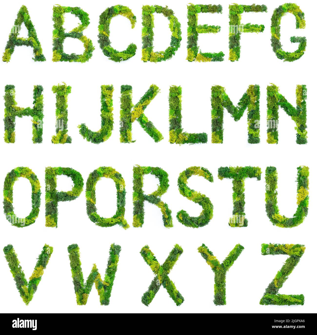 Police de lichen ou de mousse stabilisée. Lettres majuscules en mousse verte ou herbe. Banque D'Images