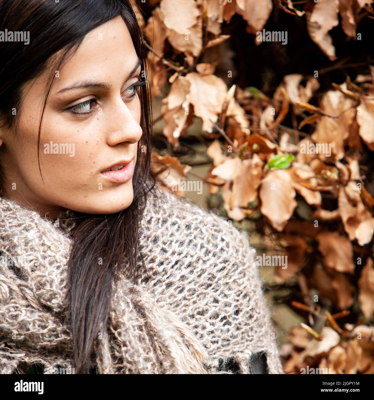 Ambiance d'automne. Un regard loin d'un magnifique jeune modèle anglo-indien mixte de race. D'une série avec le même modèle. Banque D'Images