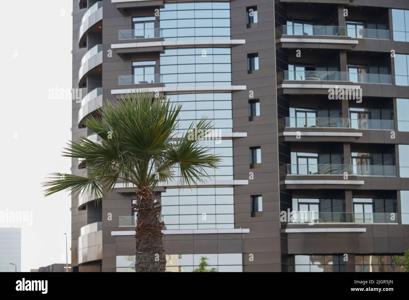 Bâtiment en verre Al Khobar avec un palmier le matin dans la rue Prince turkey. Banque D'Images