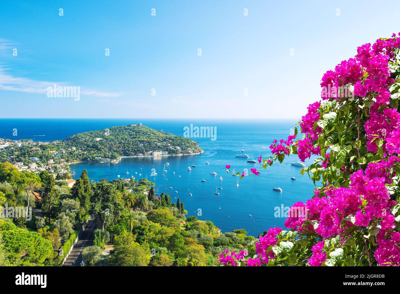 Paysage de la mer Méditerranée. Vacances d'été arrière-plan avec fleurs de rhododendron Banque D'Images