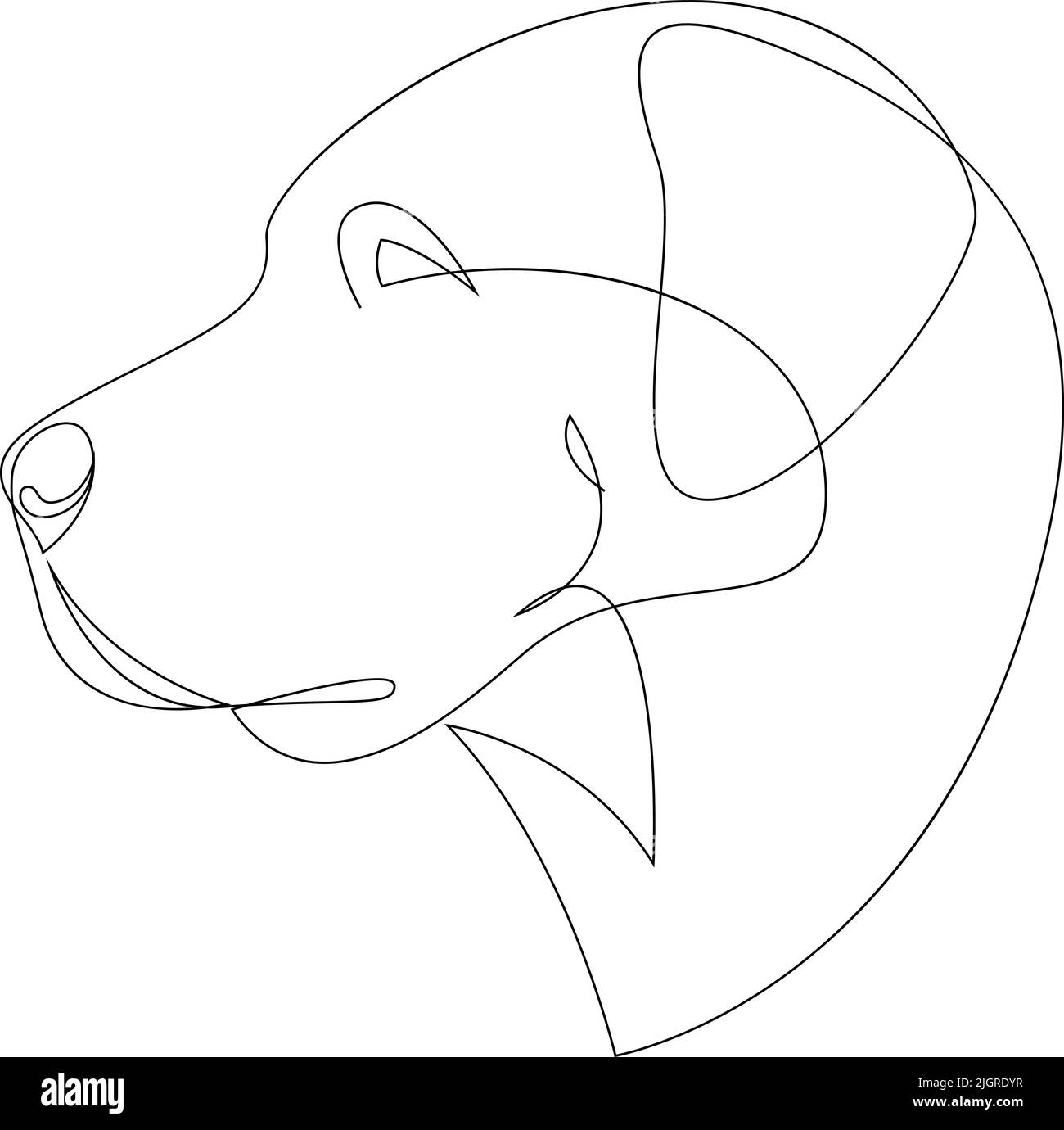 Berger anatolien continu. Illustration d'un vecteur de chien de style minimal à une seule ligne. Portrait. Illustration de Vecteur