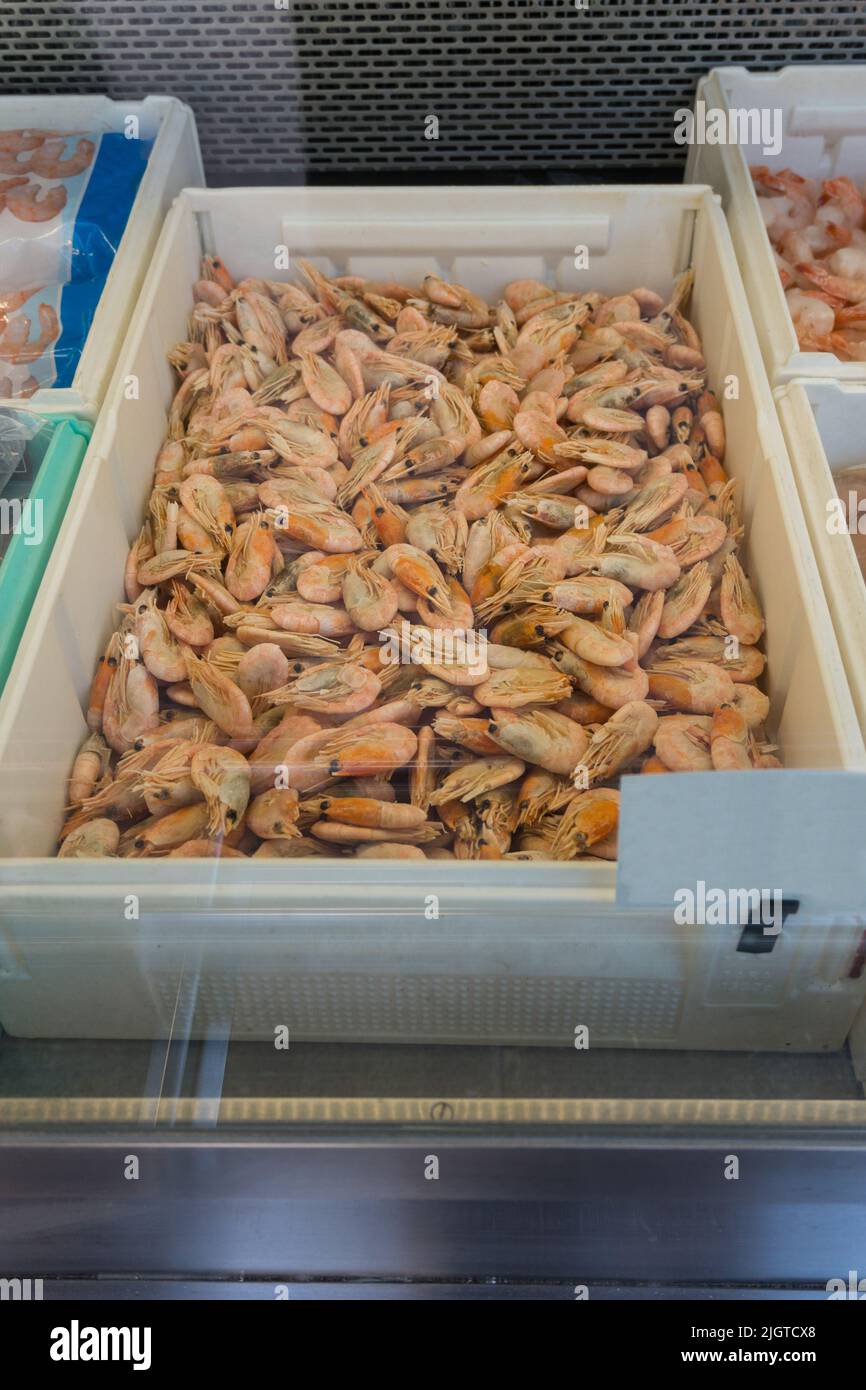 Une boîte remplie de crevettes arctiques orange fraîchement pêchées à vendre présentée dans un présentoir réfrigéré Banque D'Images