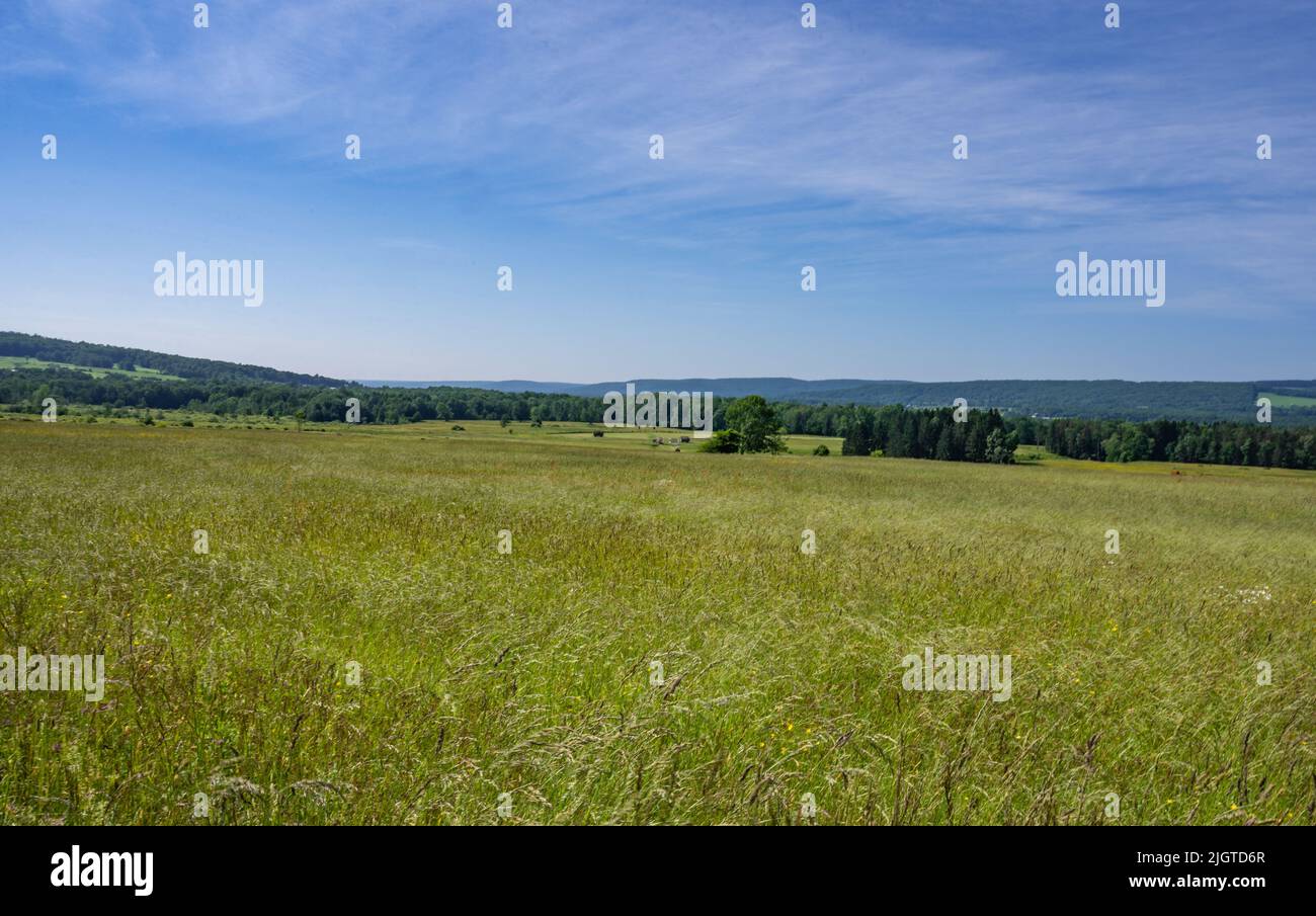 Ouvrir les terres agricoles à clinton, ny Banque D'Images