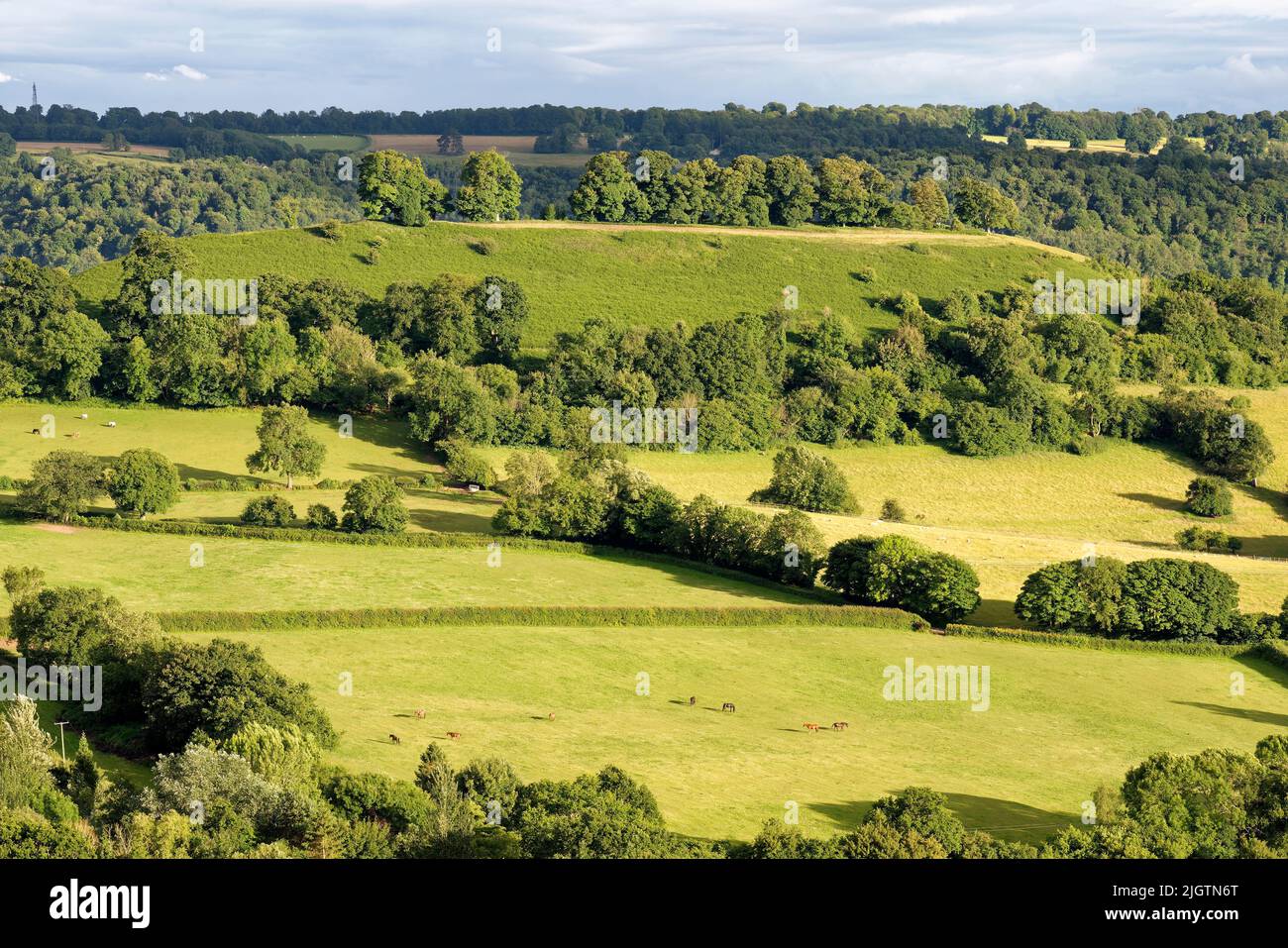 Downham Hill vue de long Down, l'outlier de Cotswold près de Dursley, Gloucestershire Banque D'Images
