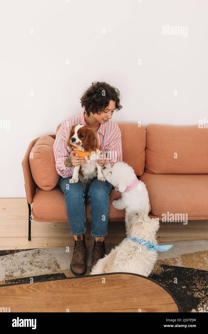 Jeune femme assise sur un canapé avec ses trois chiens Banque D'Images