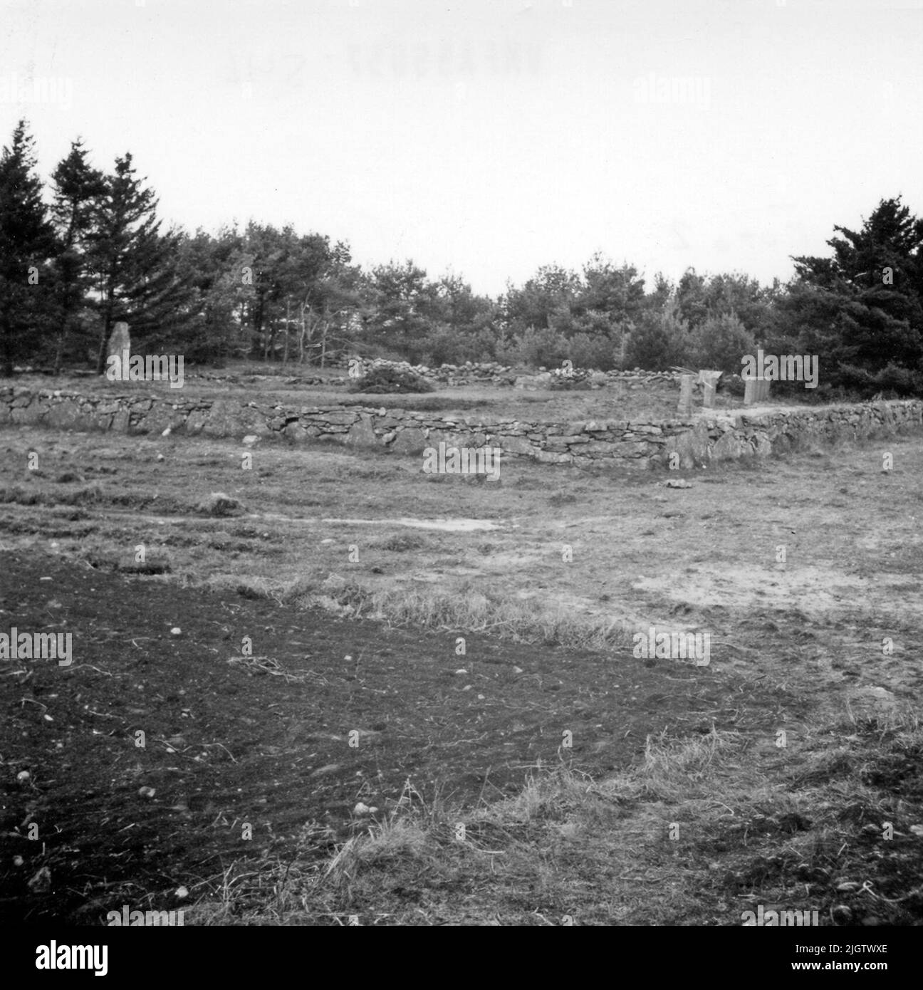 Texte à l'image: 'Skaftö sn Långedalen. Le cimetière du choléra à Åse. Sur 22 août, le premier décès 'af choléra Morbus' se produit à Fiskebäckskil. C'est la veuve Marlena Svensdotter qui décède 78 1/2 ans. Jusqu'à 16 septembre, 78 personnes meurent dans le même eperic à Fiskebäckskil, c'est-à-dire environ 11 pour cent de la population meurt en moins de quatre semaines. Source : le choléra à Fiskebäckskil en 1834. Banque D'Images