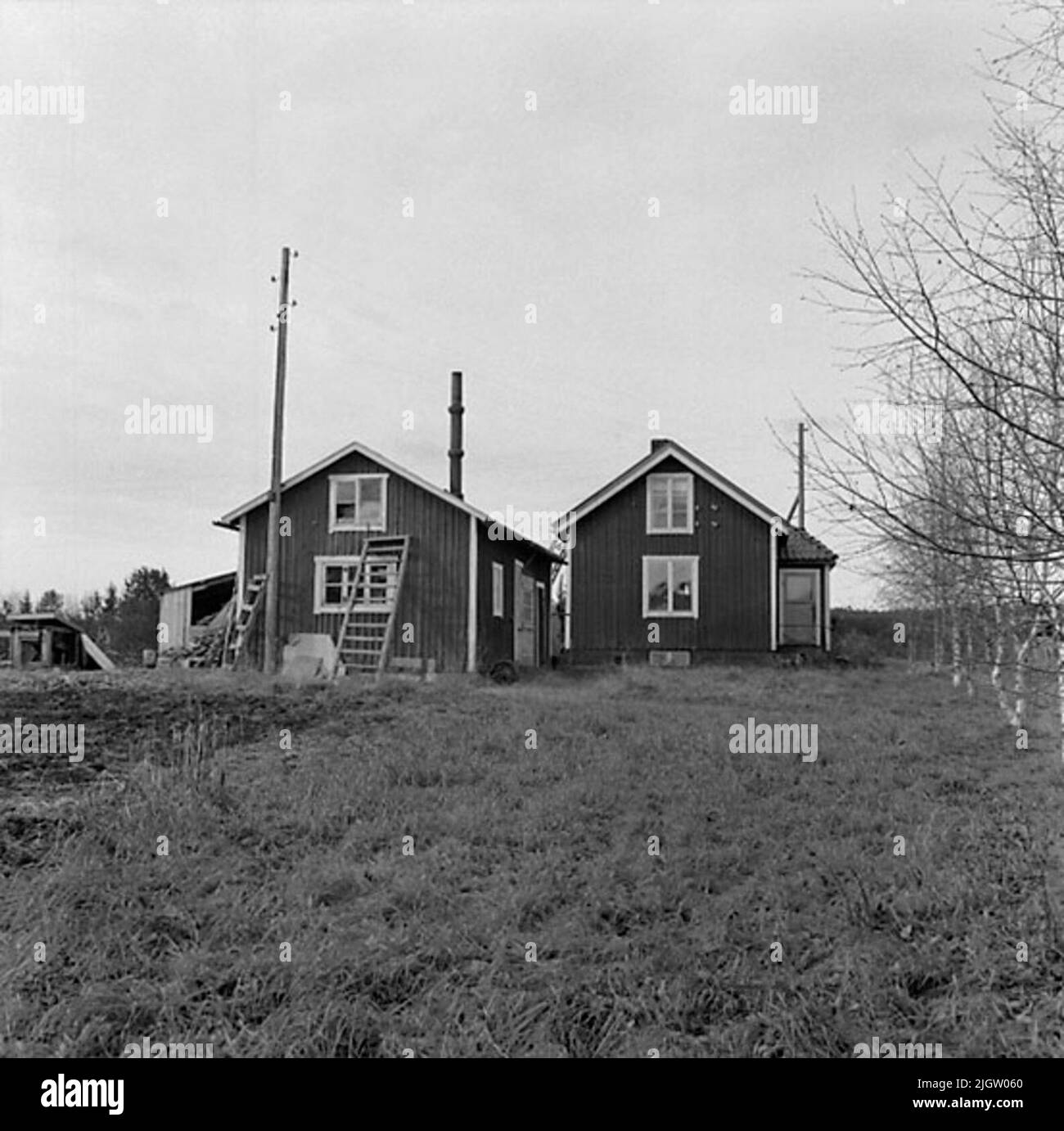 La photographie est prise: 1957 construction de bateaux dans le nord de la Suède contient des intenteurs, 165 s.v. Kop.18 nég. À 18 de Kop. Disponible en version Neg.ark 1929: n° de film 1-2 119 et 120. Un champ se trouve à gauche. Banque D'Images