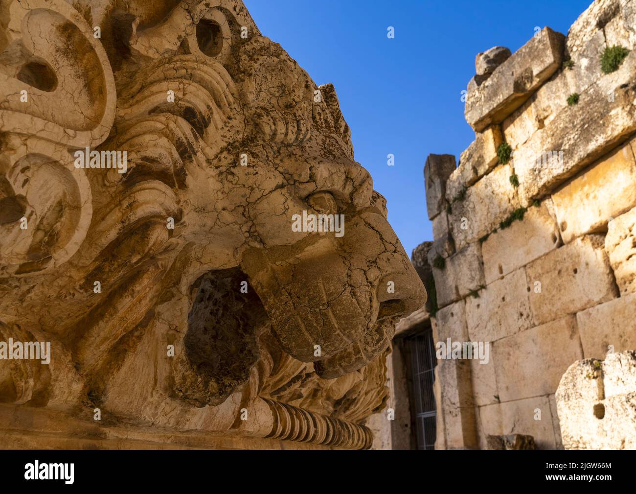 Sculpture à la tête du lion sur le site archéologique, gouvernorat de Baalbek-Hermel, Baalbek, Liban Banque D'Images