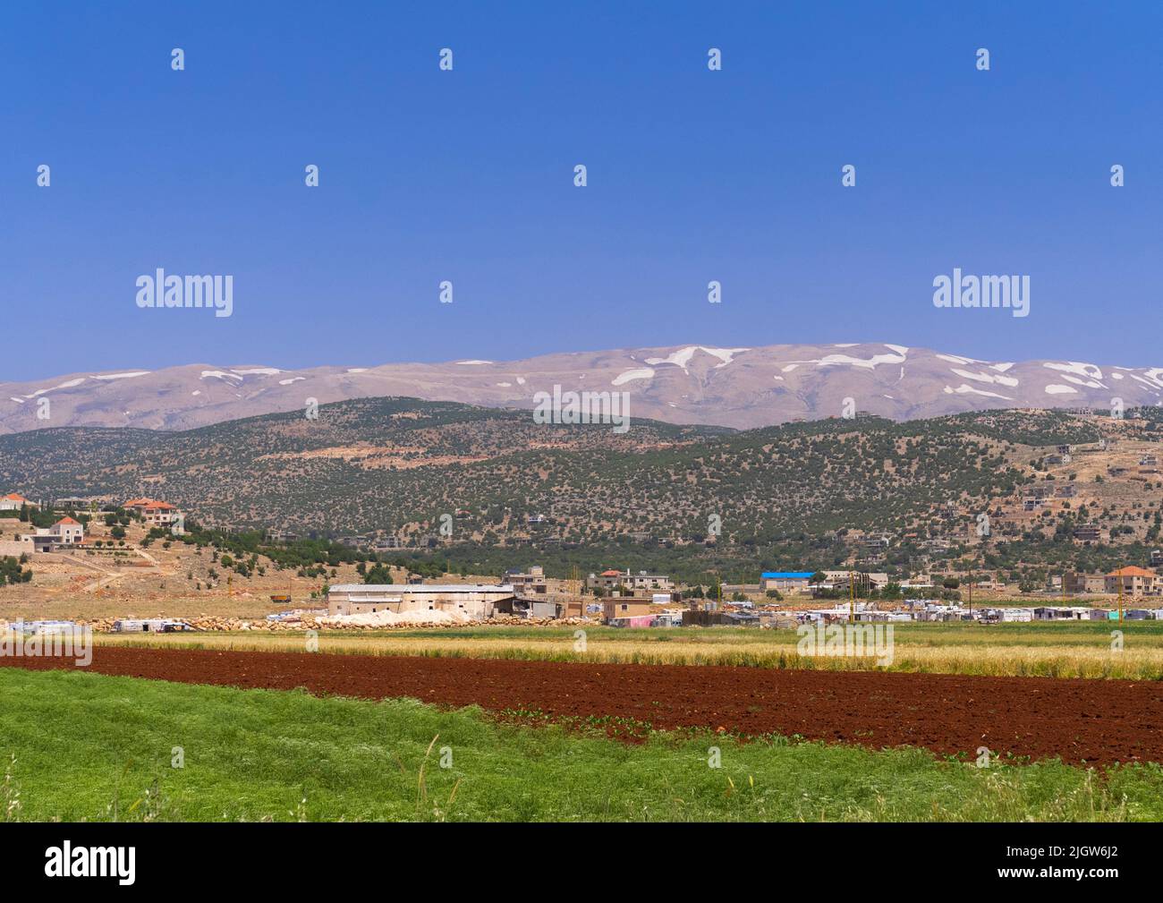 Ferme en face de la montagne, gouvernorat de Baalbek-Hermel, Baalbek, Liban Banque D'Images