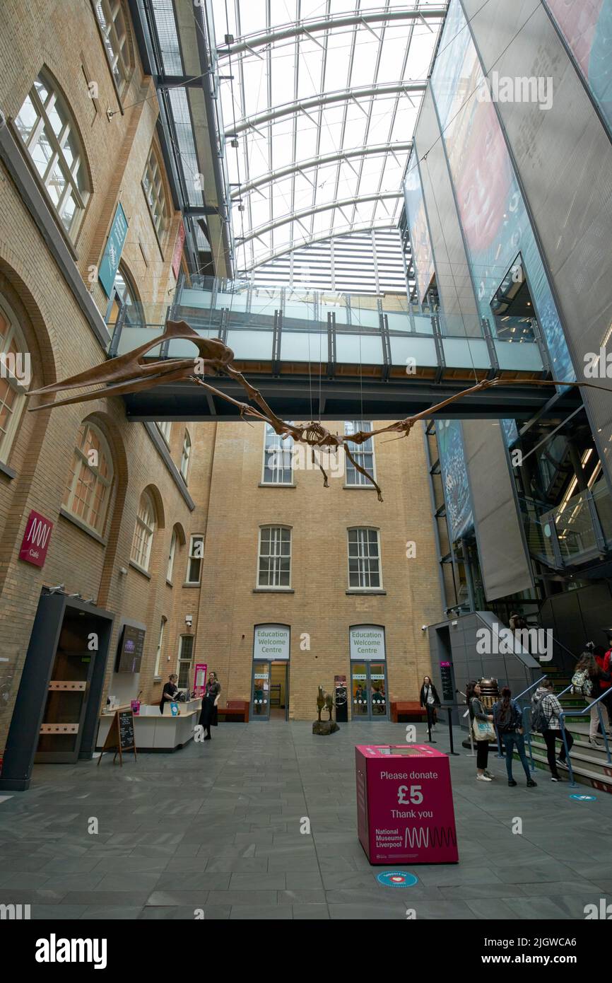 World Museum Liverpool Banque D'Images