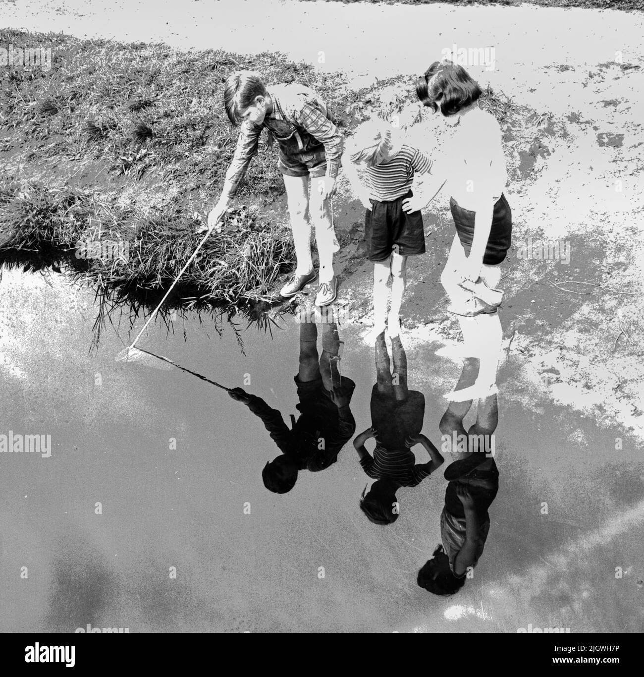 OB sie ihr Spiegelbild fangen wollen? - Original-Bildunterschrift: Diese Kinder hier sind auf der Wasserfloh-Jagd in der Spandauer Kuhlake, Berlin, Allemagne 1955. Banque D'Images