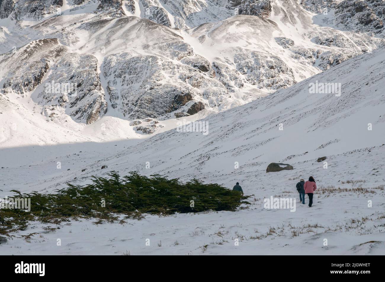 Une vue panoramique des personnes qui font de la randonnée dans le Martial Glazier à Ushuaia, en Argentine, par une journée ensoleillée Banque D'Images