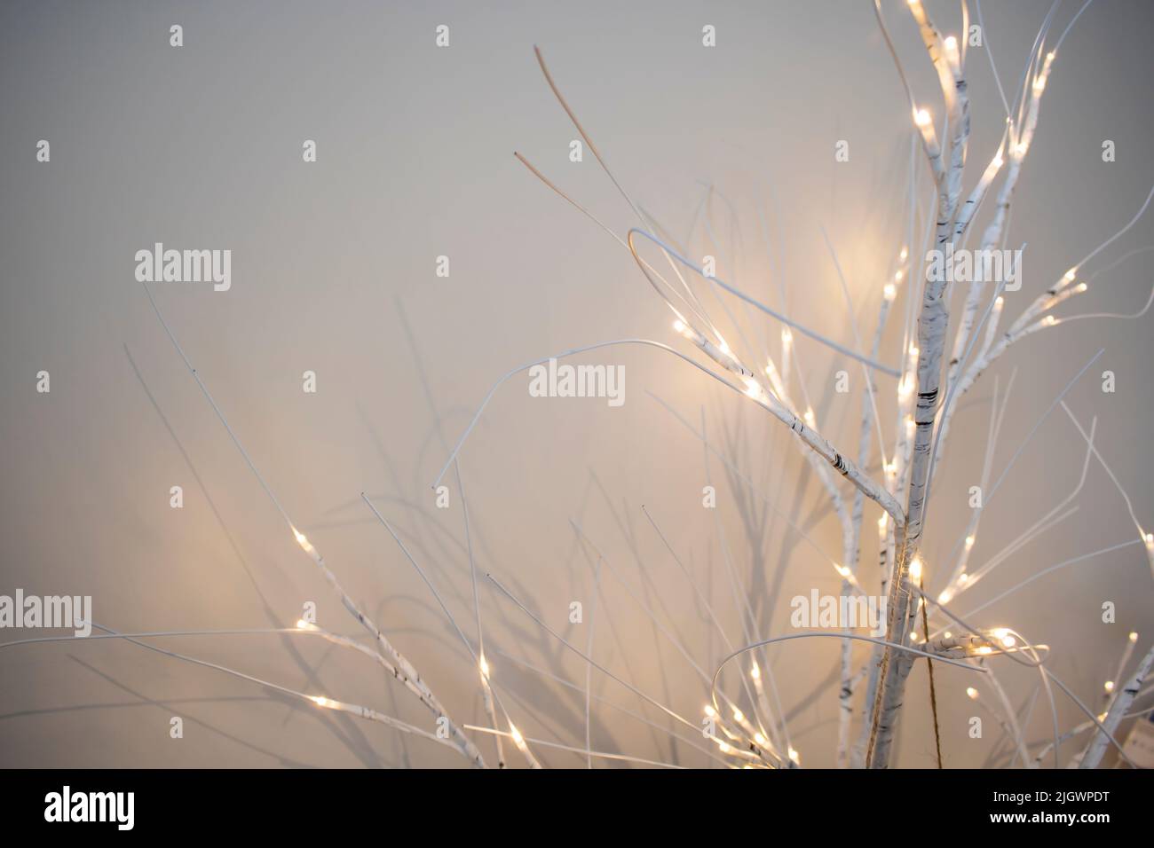 Bouleau blanc pré-éclairé LED arbres lumineux branches fêtes chritmas Banque D'Images