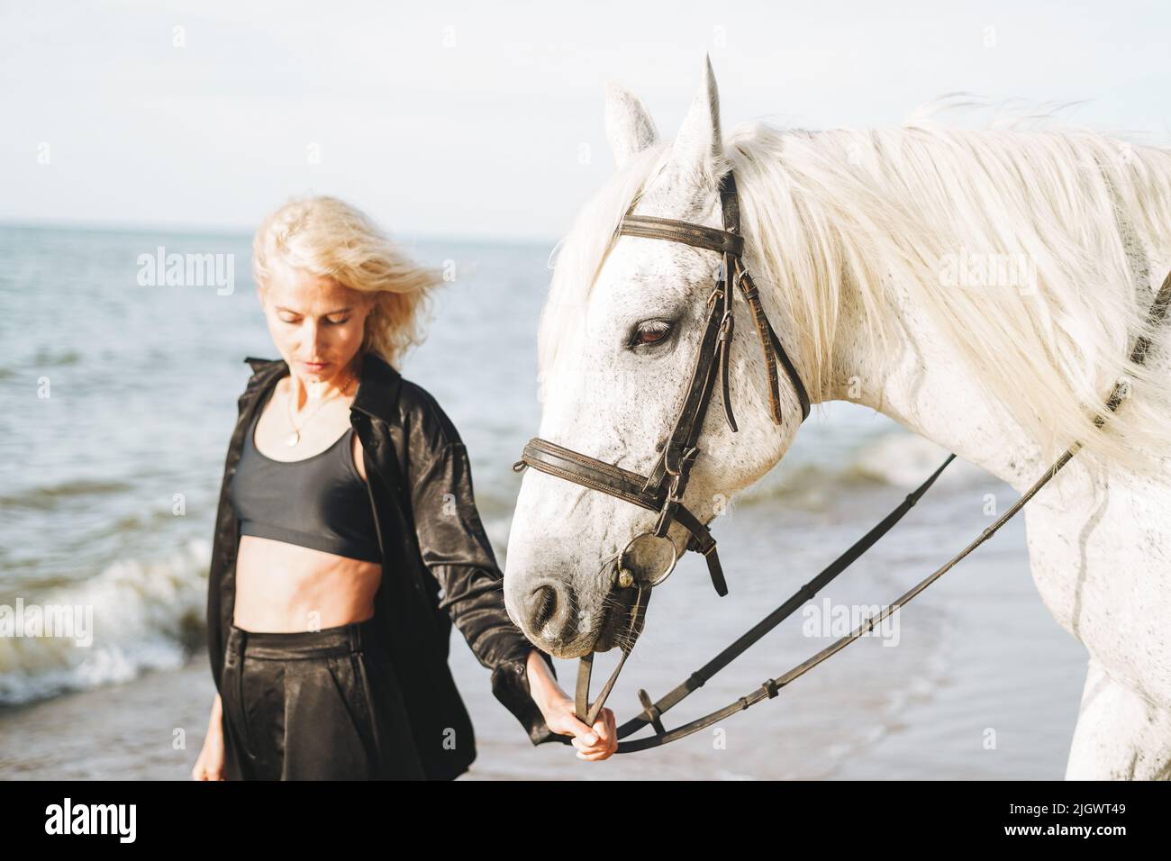 Jeune femme blonde vêtue de noir cheval blanc sur fond marin Banque D'Images