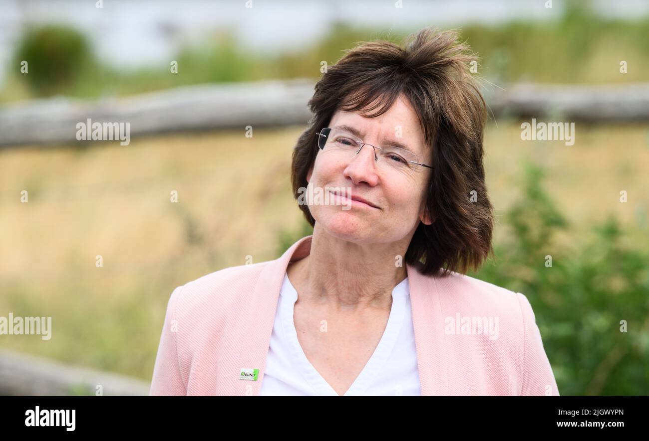 Rehburg Loccum, Allemagne. 13th juillet 2022. Susanne Gerstner, présidente de BUND Basse-Saxe, se tient lors d'une excursion dans la réserve naturelle de Meerbruchswinesen à Steinhuder Meer. Mercredi, le deuxième rapport annuel sur la "voie de la Basse-Saxe" a été présenté. L'accord pour plus d'espèces et de conservation de la nature a été décidé en 2020 par le gouvernement de l'Etat et les associations environnementales de Basse-Saxe. Credit: Julian Stratenschulte/dpa/Alay Live News Banque D'Images