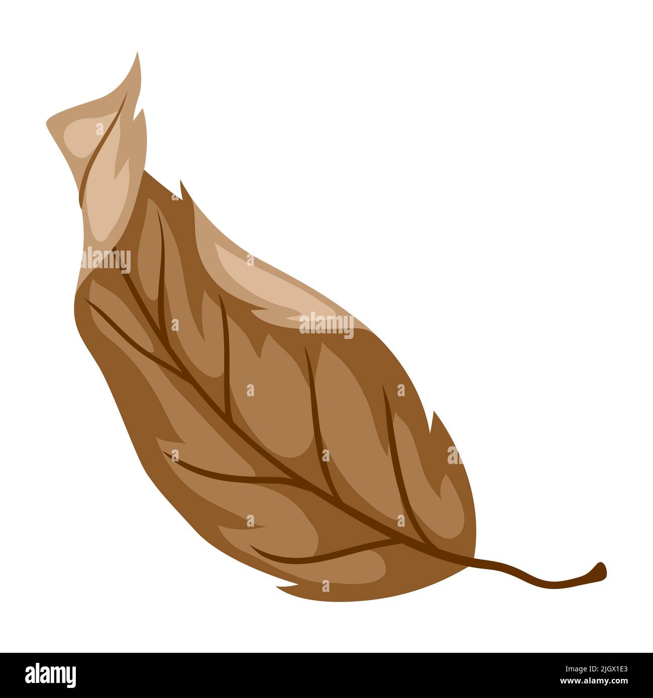Illustration de la feuille d'automne. Plante sèche saisonnière stylisée. Illustration de Vecteur