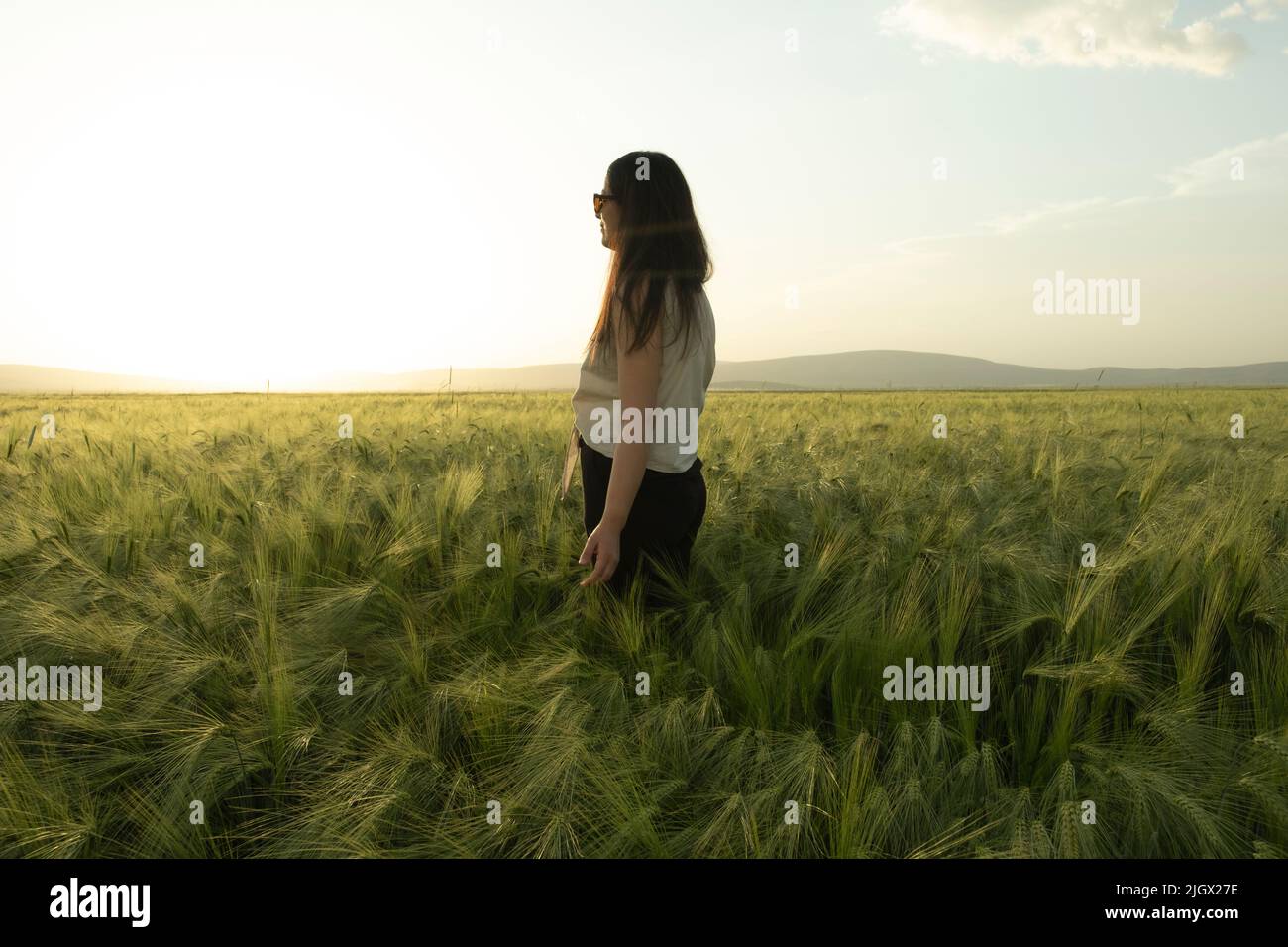 Femme paysanne, jeune femme moderne brunette agricultrice debout dans le champ de blé vert et regardant le coucher du soleil. Photo de l'idée de concept d'agriculture moderne. Banque D'Images