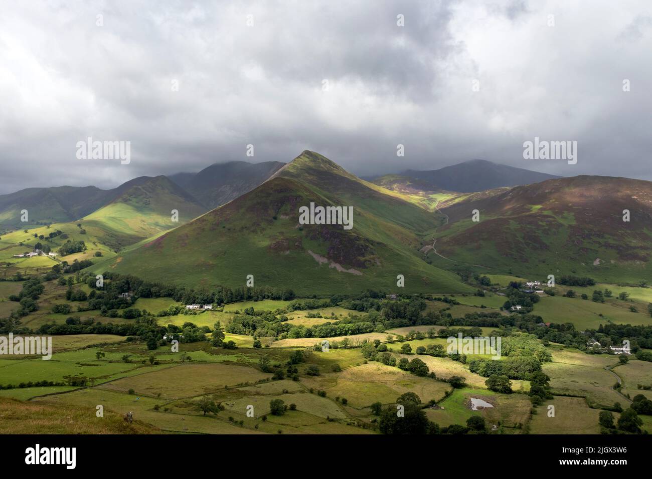 La vue vers Causey Pike de Cat Bells sur les champs ensoleillés, Lake District, Cumbria, Royaume-Uni Banque D'Images