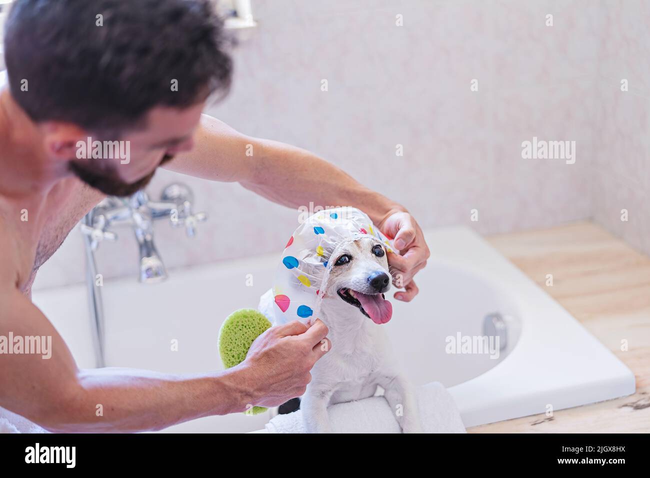 Chien drôle avec bonnet de douche avoir du plaisir avec des bulles de savon dans la salle de bains Banque D'Images