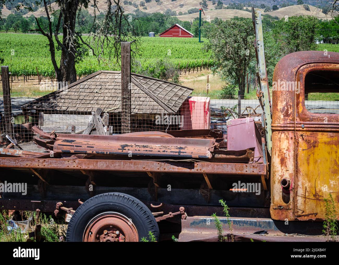 Un vieux beau chantier de voiture en ruine dans la vallée de Pope, en Californie, avec une grange rouge et un vignoble en arrière-plan Banque D'Images