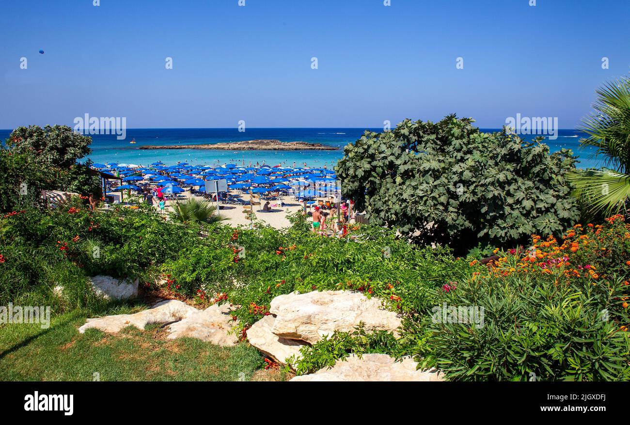 L'une des plus belles plages de sable de Chypre et d'Europe est la plage de la baie de Fig Tree (région de Protaras). Jardin avec fleurs d'orange de campsis Banque D'Images