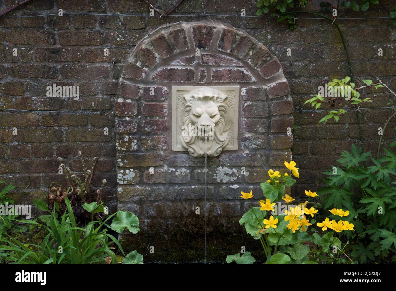 Cascade dans la forme d'une tête de lion Banque D'Images