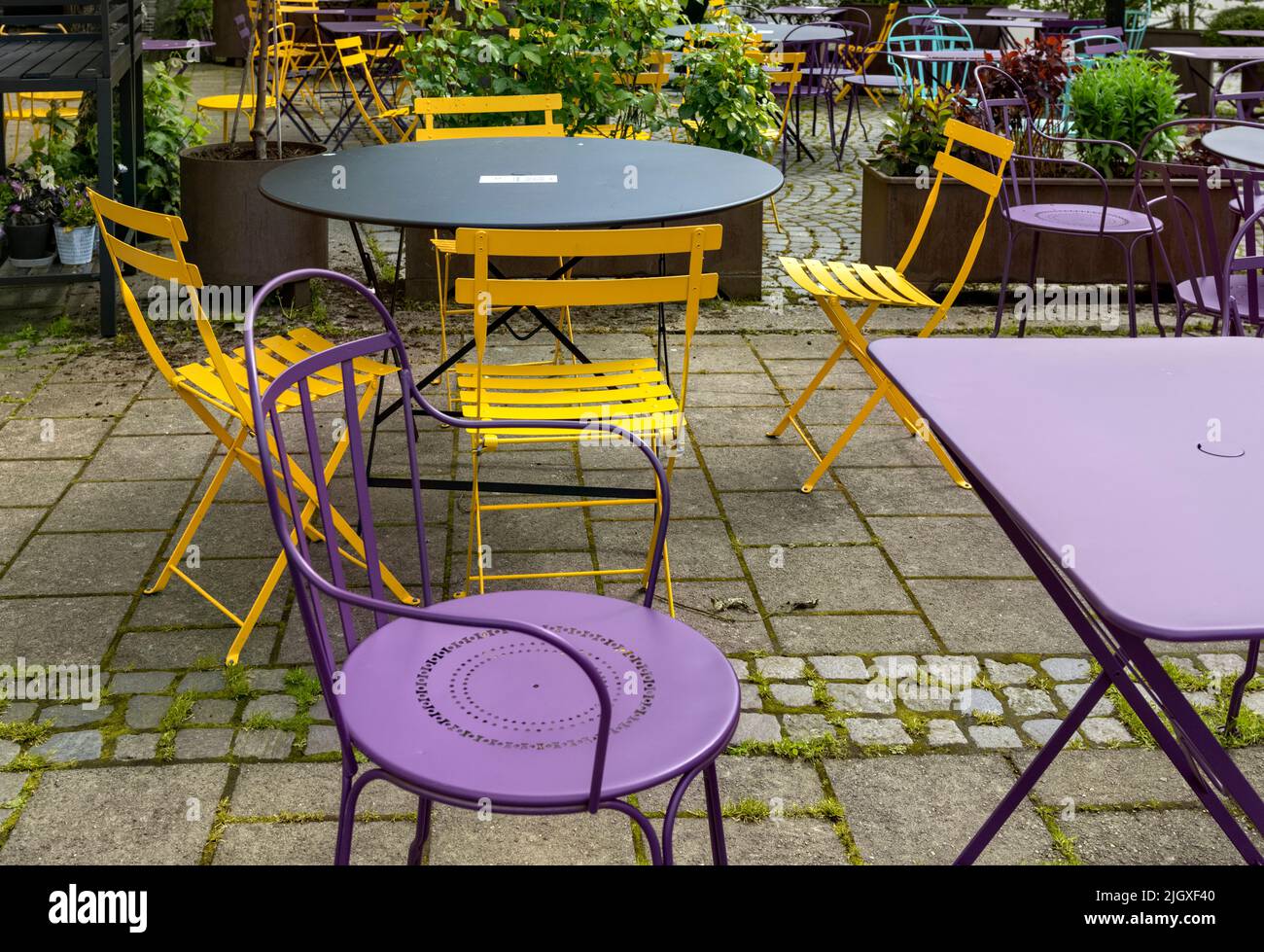Chaises violettes et jaunes, café extérieur, Alesund Norvège Banque D'Images