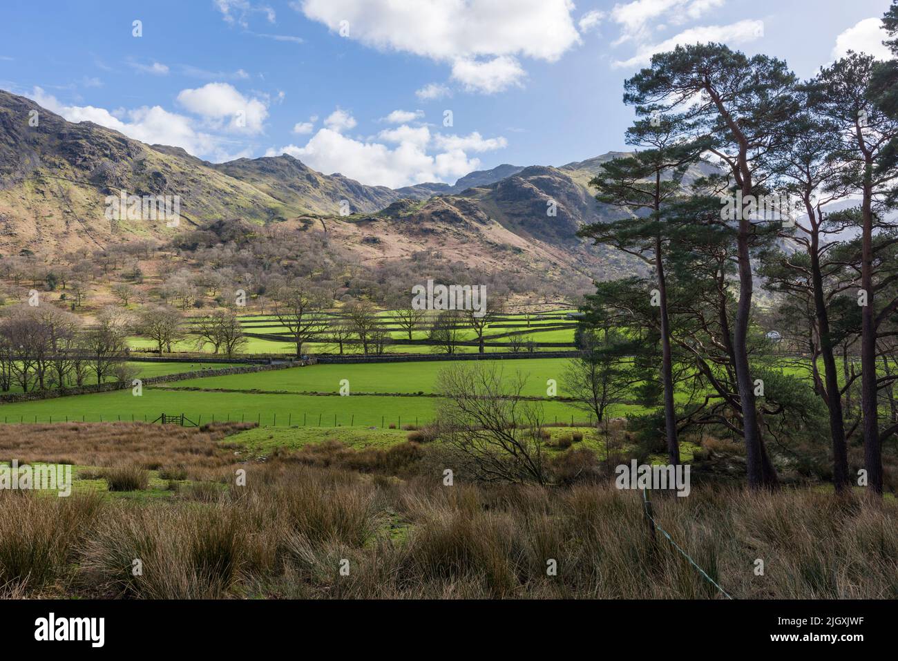 La vallée de Borrowdale au début du printemps, à Seatoller, dans le parc national de Lake District, Cumbria, Angleterre. Banque D'Images
