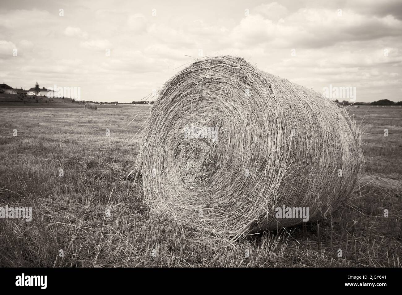 Balle de foin. Gros plan photo en noir et blanc de la balle de foin. Sépia Banque D'Images