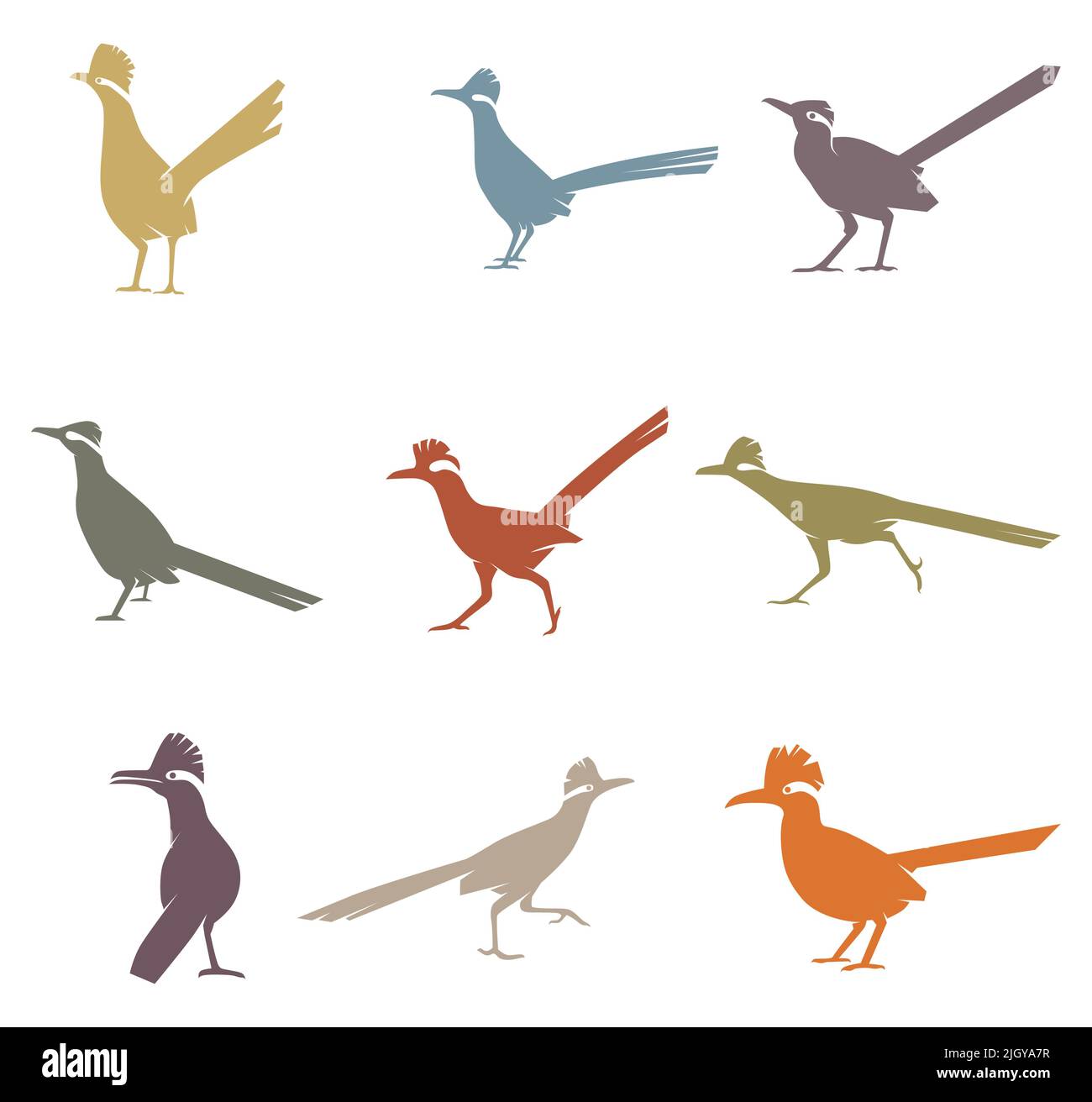 Collection d'oiseaux Roadrunner Illustration de Vecteur