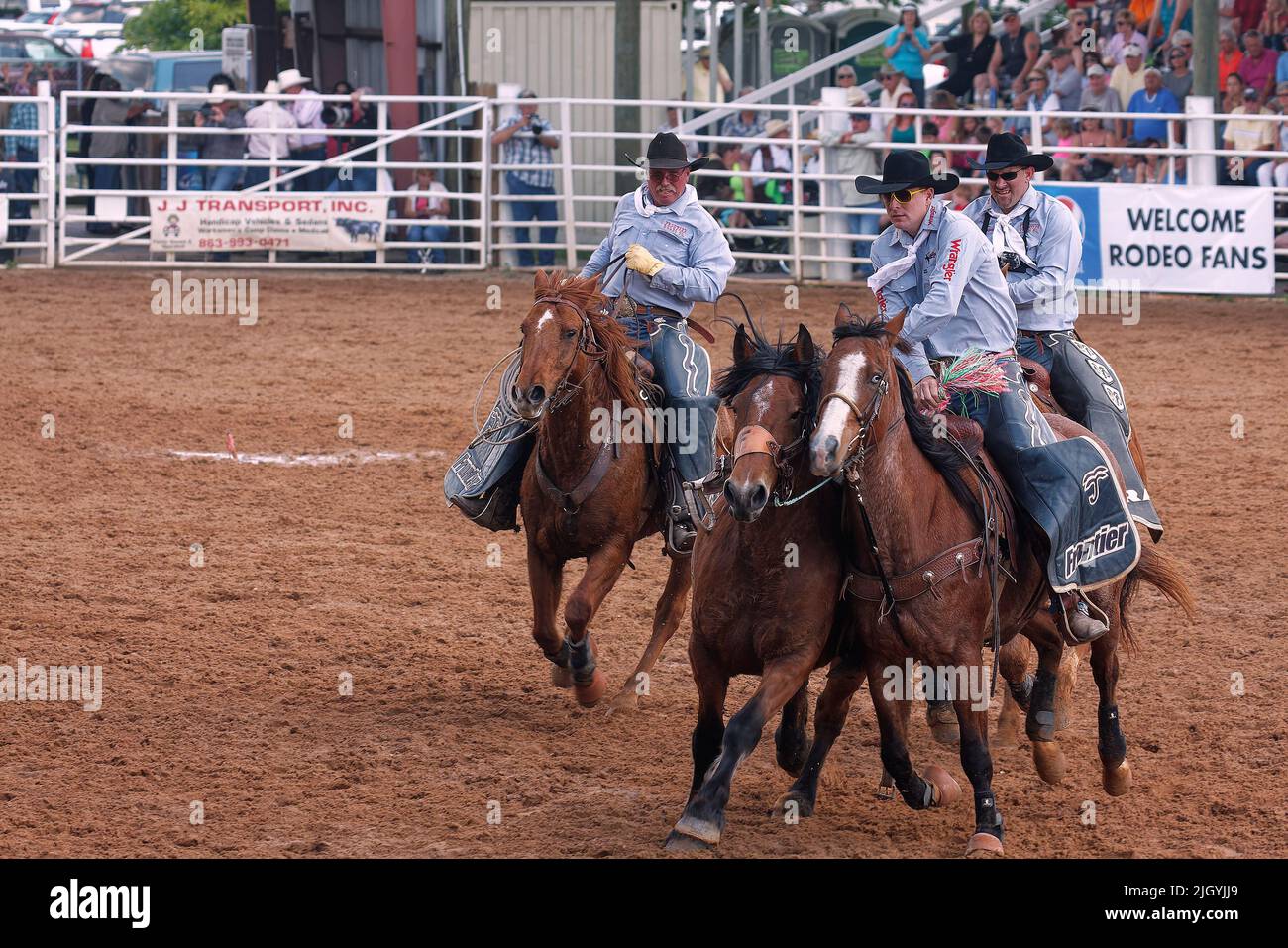rodeo, 3 hommes corraling cheval, travail, compétence, mouvement, spectateurs, concours, compétition, animal, personnes, foule, Floride ; Arcadia ; FL Banque D'Images