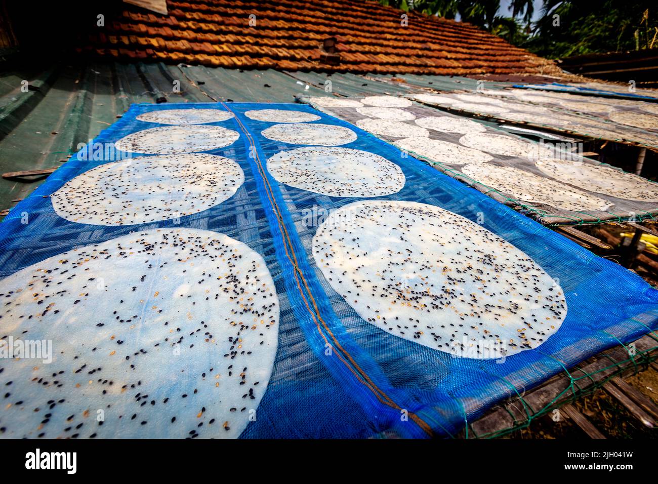 Riz papier aka Banh Trang séchage sur le toit d'une maison à Hoi an où ils fabriquent ces. Banque D'Images