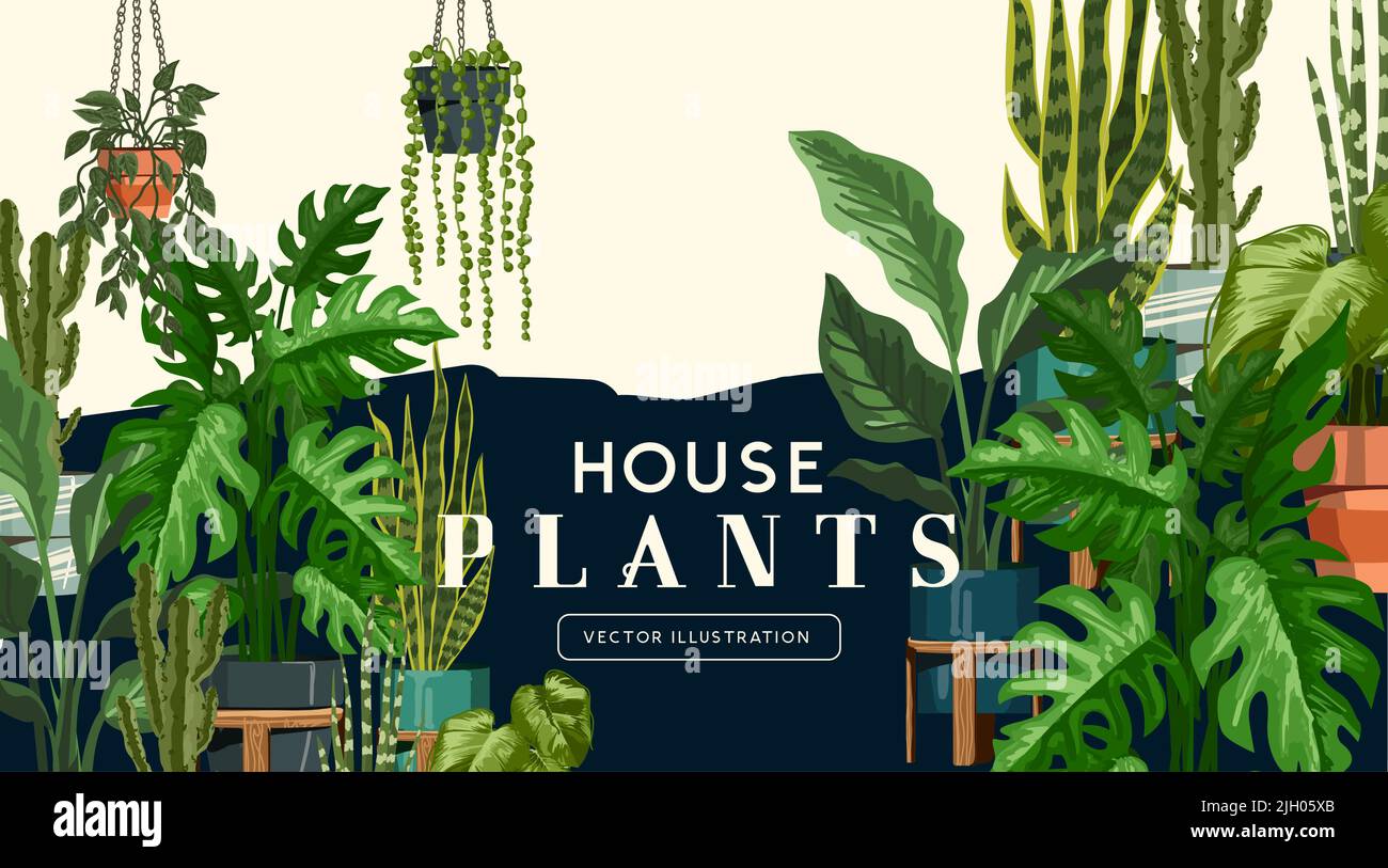 Une grande et variée sélection de plantes de maison d'intérieur avec pots. Illustration vectorielle jardin et bien-être Illustration de Vecteur
