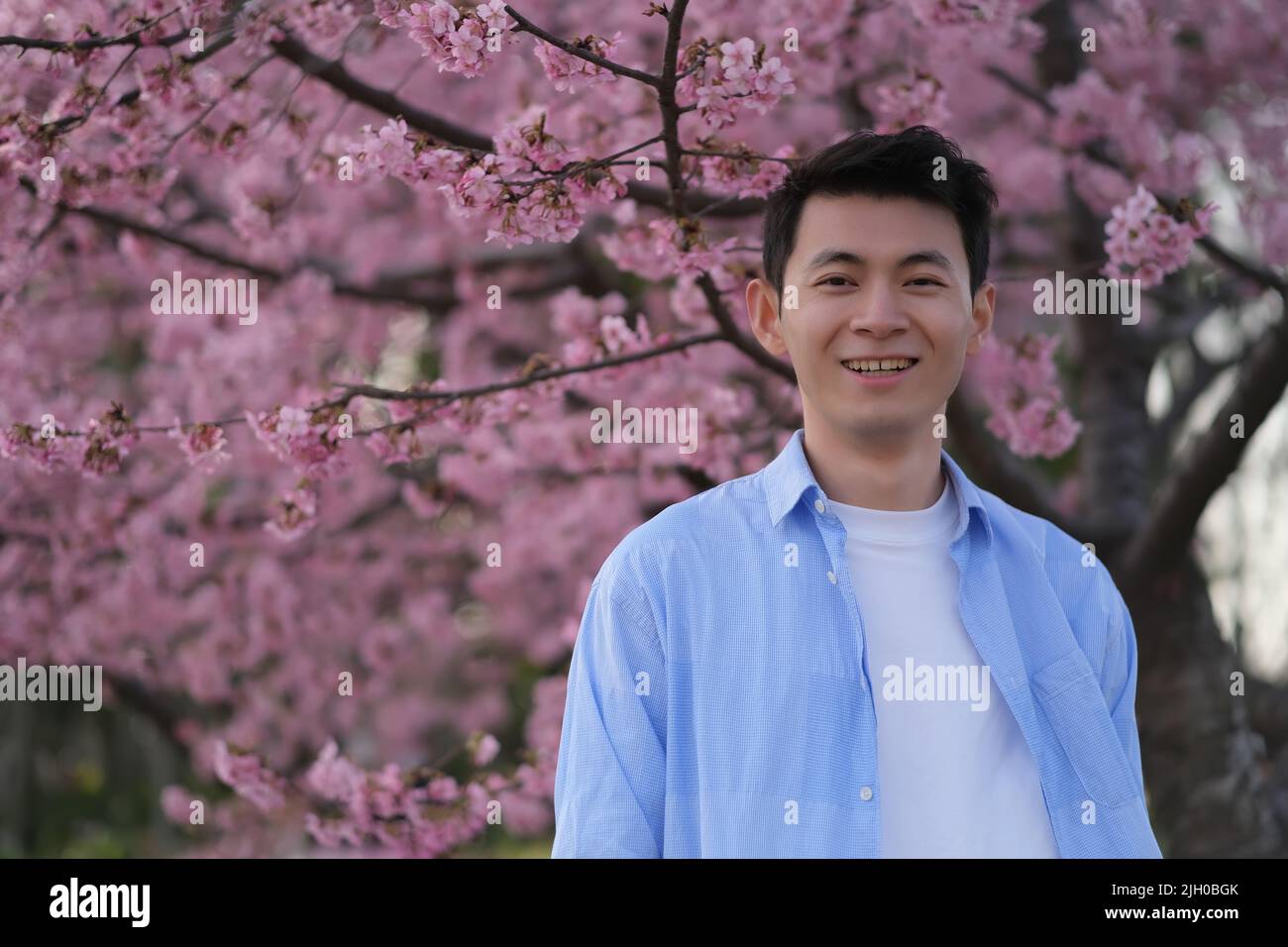 Souriant beau jeune homme asiatique, flou rose kawazu-zakura fleur de fond d'arbre Banque D'Images