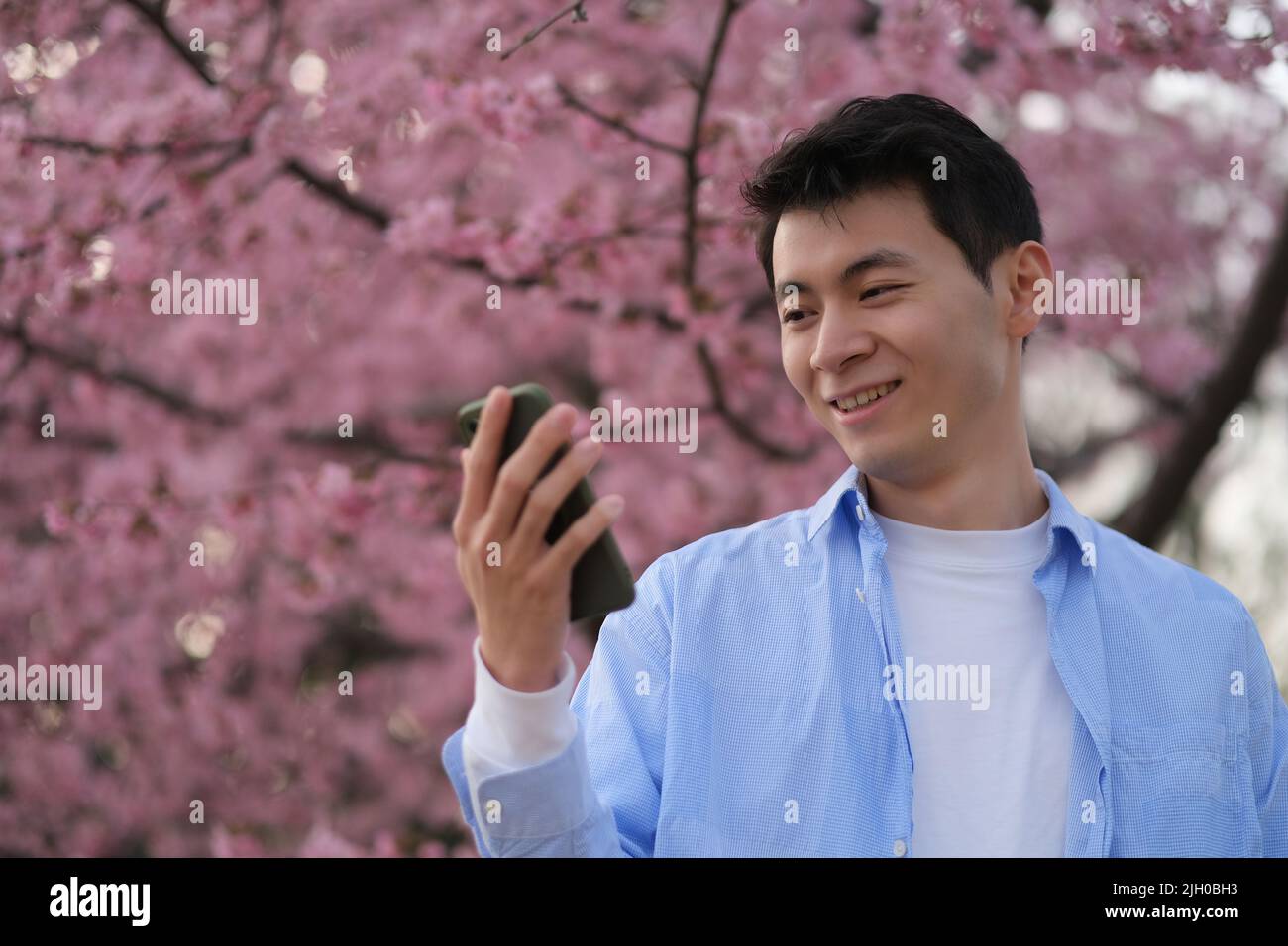 Beau et heureux asiatique jeune homme regarder le téléphone, avec beau sakura rose fleur arbre au printemps Banque D'Images