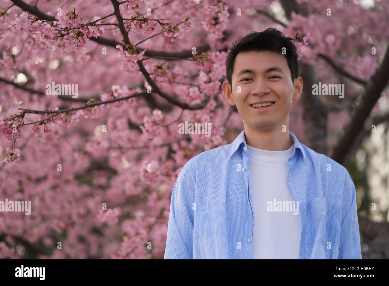 Joyeux jeune homme asiatique, avec beau arbre floral rose sakura en saison de printemps Banque D'Images