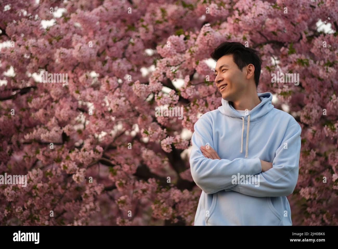 Souriant asiatique jeune homme croisant les bras, face latérale regardant loin. Arrière-plan de l'arbre sakura rose flou Banque D'Images