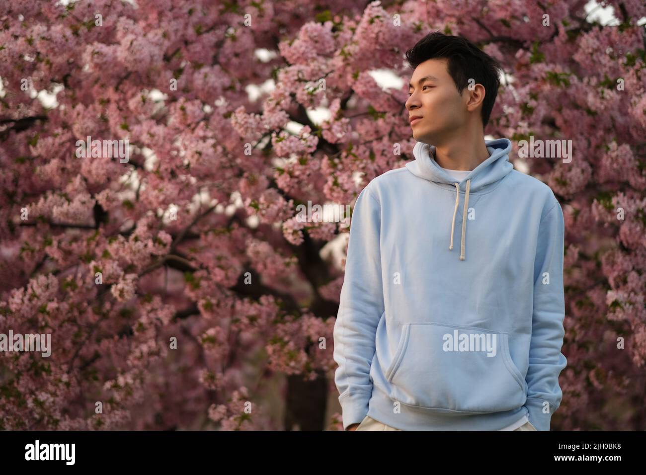 Cool Handsome asiatique jeunes mains dans les poches, côté face regardant loin. Arrière-plan de l'arbre sakura rose flou Banque D'Images