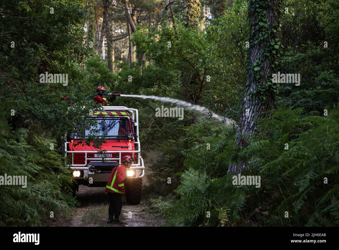 Les pompiers travaillent pour éteindre un feu de forêt à la testede