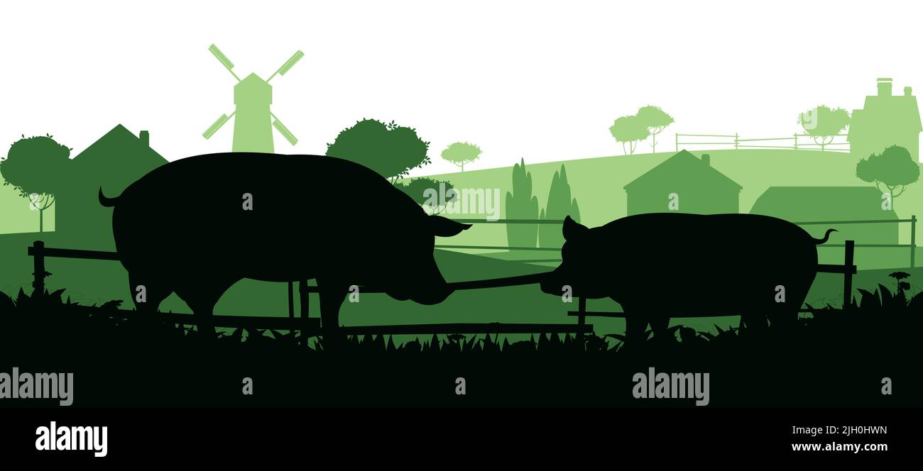 Les porcs se broutent dans les pâturages. Silhouette de l'image. Animaux de la ferme. Paysage rural avec maison de ferme. Animaux pour la viande et la graisse. Isolé sur fond blanc Illustration de Vecteur
