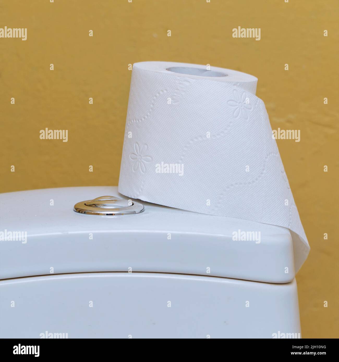 Papier toilette sur le réservoir de toilettes Banque D'Images