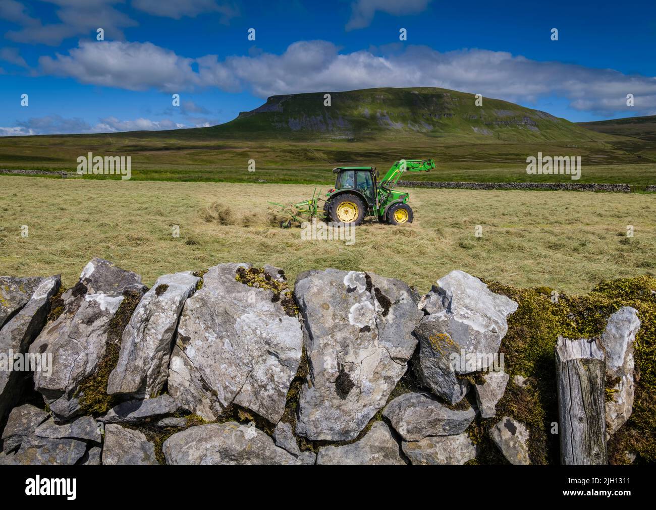 Hatyking dans les Yorkshire Dales avec Penyghent en arrière-plan. Banque D'Images