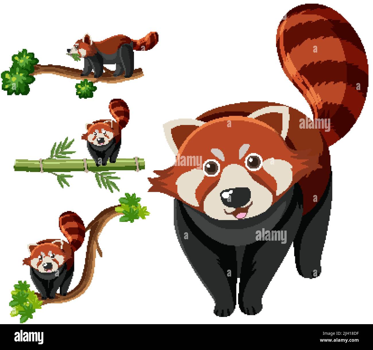 Ensemble d'illustrations de pandas rouges différentes Illustration de Vecteur