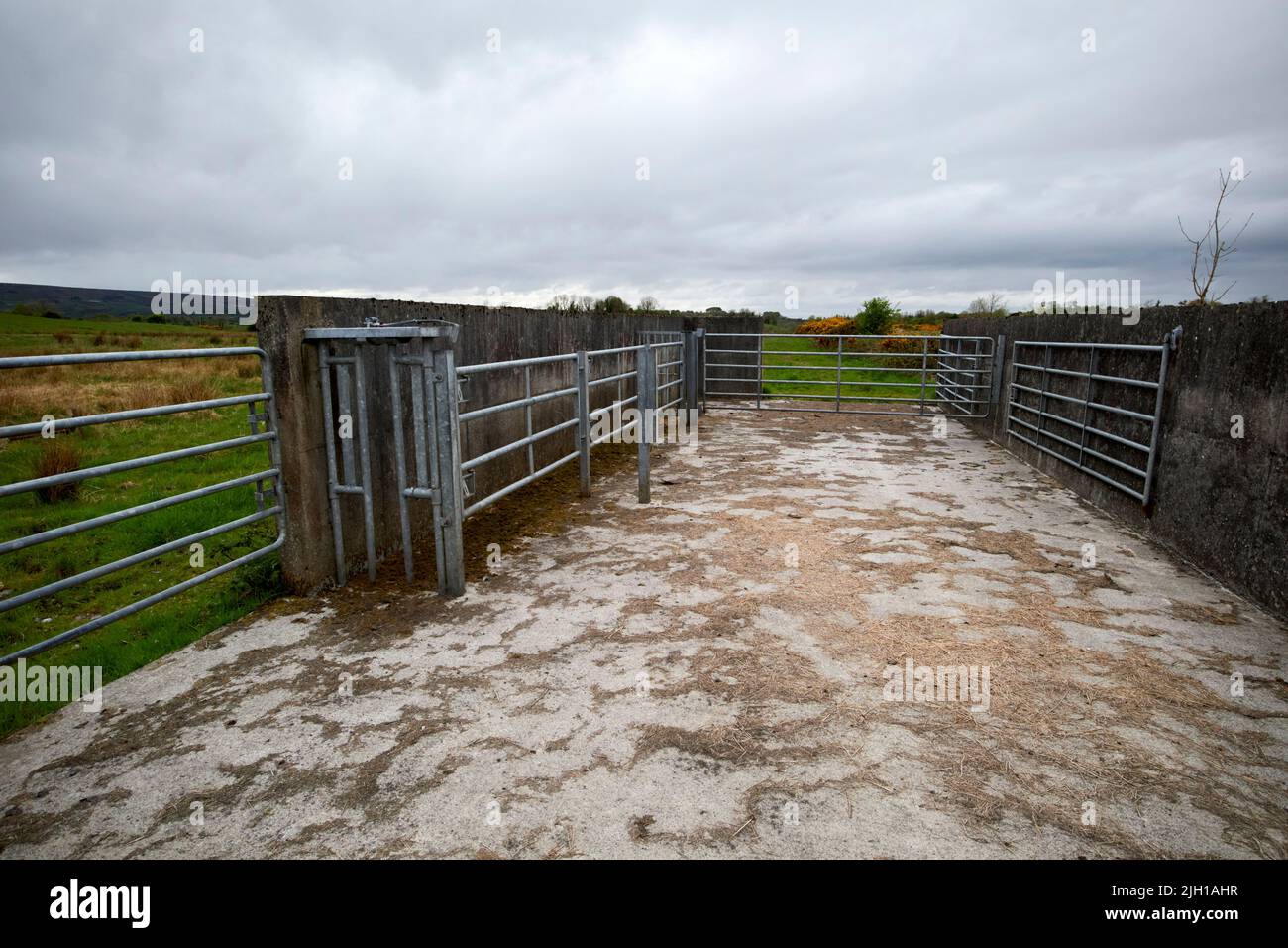 Plume et unité de manutention de moutons en béton dans l'ouest de l'irlande près du comté de Castlebar, République d'irlande Banque D'Images
