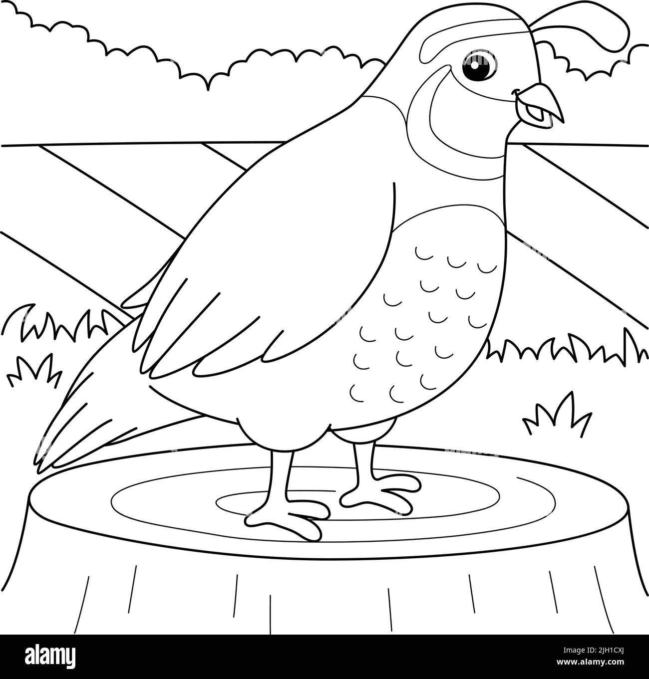 Page de coloriage pour animaux de caille pour enfants Illustration de Vecteur