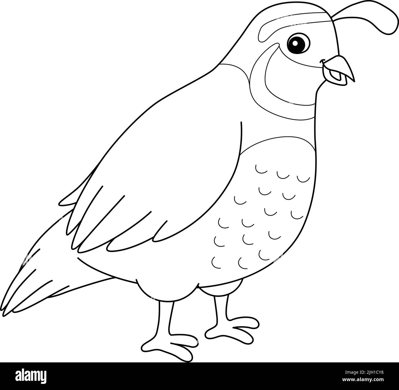 Page de coloriage pour animaux de caille pour enfants Illustration de Vecteur