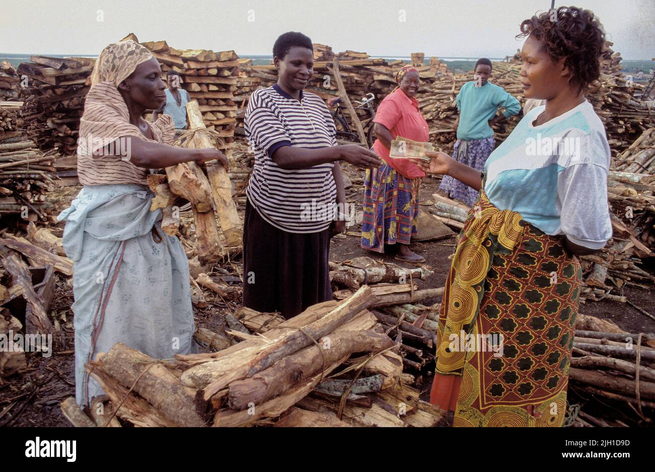 Ouganda, GABA; femmes achetant du bois de chauffage dans un entrepôt extérieur. Ce commerce contribue à la déforestation. Banque D'Images